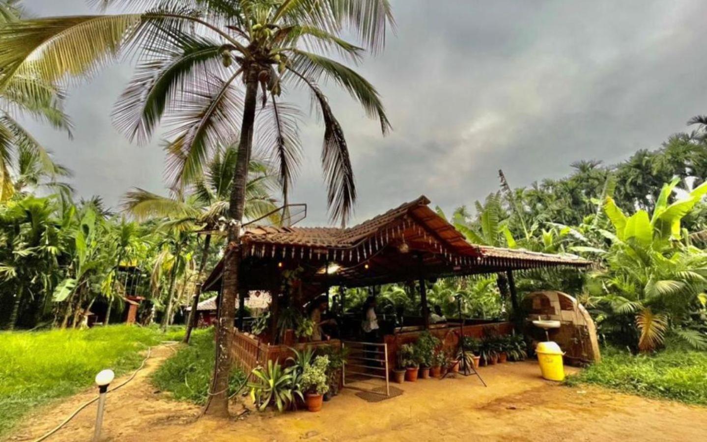 Pepper Paradise By Stayapart Dandeli Extérieur photo
